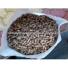 Halal Certified food Groundnut